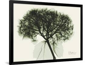 Verduous Hydrangea 1-Albert Koetsier-Framed Art Print