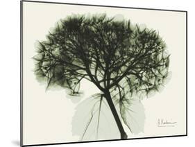 Verduous Hydrangea 1-Albert Koetsier-Mounted Art Print