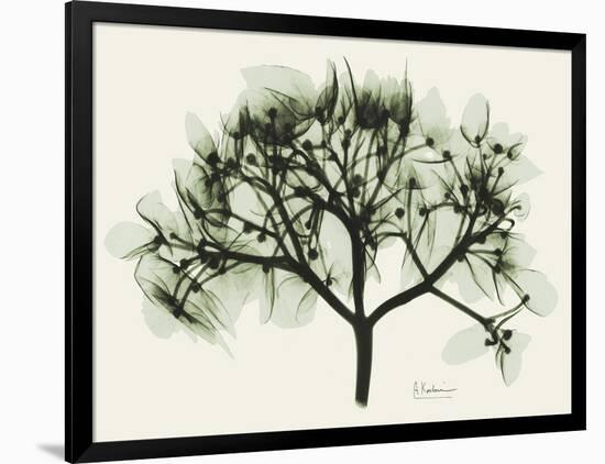 Verduous Hydrangea 2-Albert Koetsier-Framed Art Print