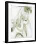 Verge II-June Erica Vess-Framed Art Print