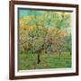 Verger avec pruniers en fleurs (Détail)-Vincent van Gogh-Framed Art Print