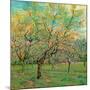 Verger avec pruniers en fleurs (Détail)-Vincent van Gogh-Mounted Art Print