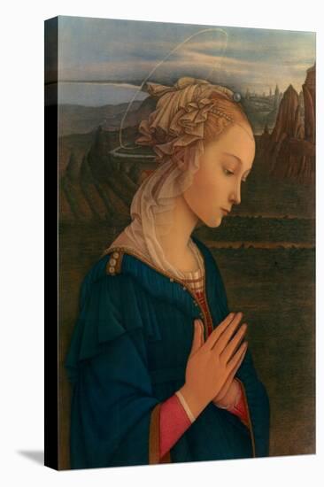 Vergine in Adorazione, c.1406-1469-Fra Filippo Lippi-Stretched Canvas