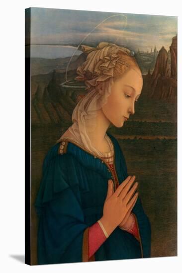 Vergine in Adorazione, c.1406-1469-Fra Filippo Lippi-Stretched Canvas