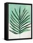 Verging Palm I-Annie Warren-Framed Stretched Canvas