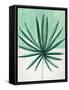 Verging Palm IV-Annie Warren-Framed Stretched Canvas