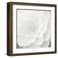 Verglas Camellia-Ella Lancaster-Framed Giclee Print