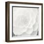 Verglas Camellia-Ella Lancaster-Framed Giclee Print