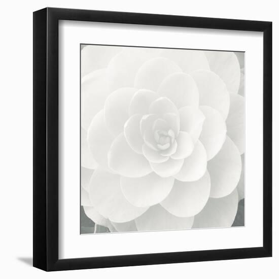 Verglas Camellia-Ella Lancaster-Framed Giclee Print