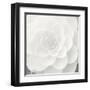 Verglas Camellia-Ella Lancaster-Framed Giclee Print