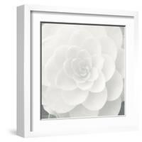 Verglas Camellia-Ella Lancaster-Framed Giclee Print