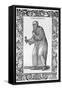 Vergognosi 1590-Cesare Vecellio-Framed Stretched Canvas