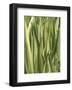 Verigation 1-Jenny Kraft-Framed Art Print