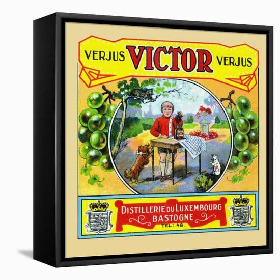 Verjus Victor-null-Framed Stretched Canvas