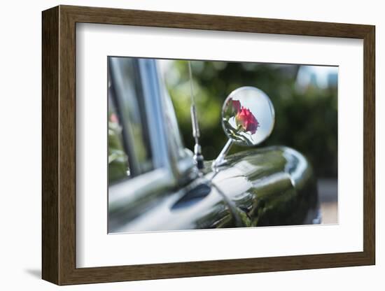 Verl, North Rhine-Westphalia, Germany, Reflection of Rose Blossoms in the Rearview Mirror-Bernd Wittelsbach-Framed Photographic Print