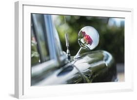 Verl, North Rhine-Westphalia, Germany, Reflection of Rose Blossoms in the Rearview Mirror-Bernd Wittelsbach-Framed Photographic Print