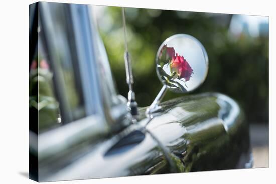 Verl, North Rhine-Westphalia, Germany, Reflection of Rose Blossoms in the Rearview Mirror-Bernd Wittelsbach-Stretched Canvas