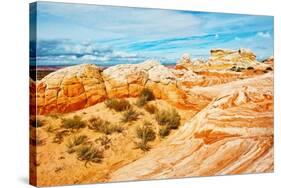 Vermilion Cliffs National Monument. White Pocket, multicolored formations of Navajo sandstone-Bernard Friel-Stretched Canvas
