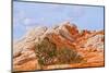 Vermilion Cliffs National Monument. White Pocket, multicolored formations of Navajo sandstone-Bernard Friel-Mounted Photographic Print