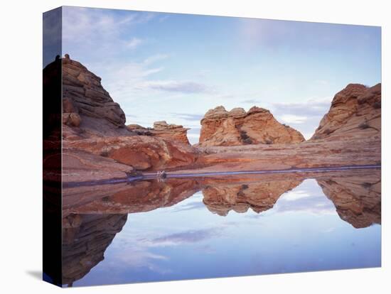 Vermilion Cliffs Nm, Sandstone Formations Reflecting in Rainwater-Christopher Talbot Frank-Stretched Canvas