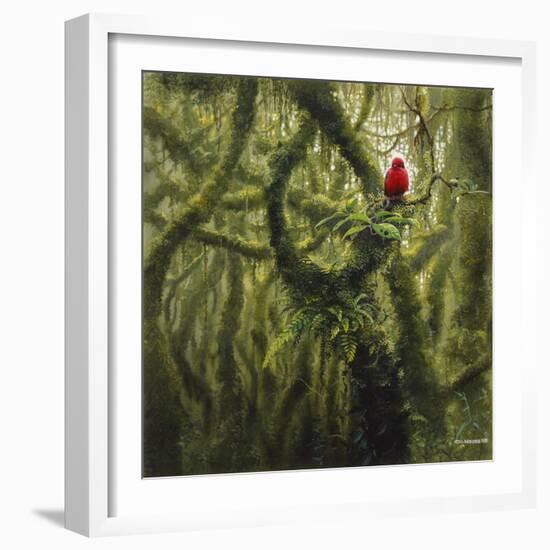 Vermilion Flycatcher-Harro Maass-Framed Giclee Print