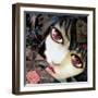 Vermilion-Meiya Y-Framed Giclee Print