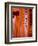 Vermillion Torii Gates, Fushimi-Inari Taisha, Kyoto, Japan, Asia-Ben Pipe-Framed Photographic Print