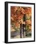 Vermont, a Sugar Maple Tree, Acer Saccharum-Christopher Talbot Frank-Framed Photographic Print