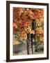 Vermont, a Sugar Maple Tree, Acer Saccharum-Christopher Talbot Frank-Framed Photographic Print