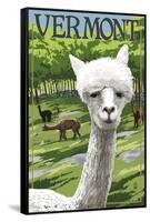 Vermont - Alpaca Scene-Lantern Press-Framed Stretched Canvas