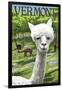 Vermont - Alpaca Scene-Lantern Press-Framed Art Print