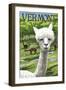 Vermont - Alpaca Scene-Lantern Press-Framed Art Print