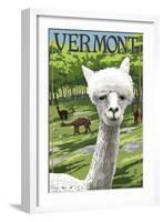 Vermont - Alpaca Scene-Lantern Press-Framed Art Print