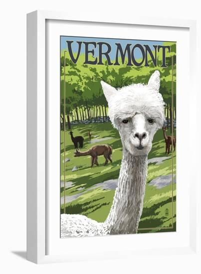 Vermont - Alpaca Scene-Lantern Press-Framed Art Print