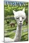 Vermont - Alpaca Scene-Lantern Press-Mounted Art Print