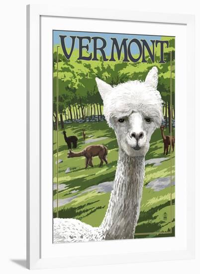 Vermont - Alpaca Scene-Lantern Press-Framed Art Print