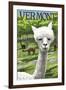 Vermont - Alpaca Scene-Lantern Press-Framed Art Print