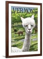 Vermont - Alpaca Scene-Lantern Press-Framed Art Print