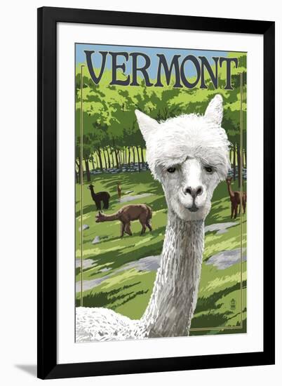 Vermont - Alpaca Scene-Lantern Press-Framed Art Print