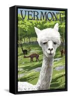 Vermont - Alpaca Scene-Lantern Press-Framed Stretched Canvas