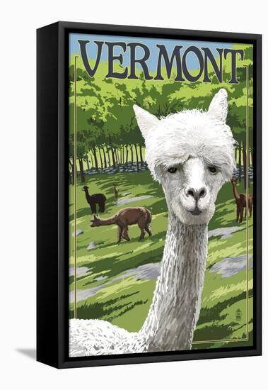 Vermont - Alpaca Scene-Lantern Press-Framed Stretched Canvas