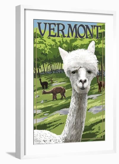 Vermont - Alpaca Scene-Lantern Press-Framed Art Print