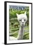 Vermont - Alpaca Scene-Lantern Press-Framed Art Print