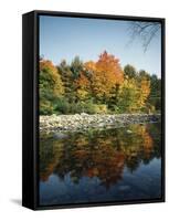 Vermont, Autumn Colors of Sugar Maple Trees Along a Stream-Christopher Talbot Frank-Framed Stretched Canvas