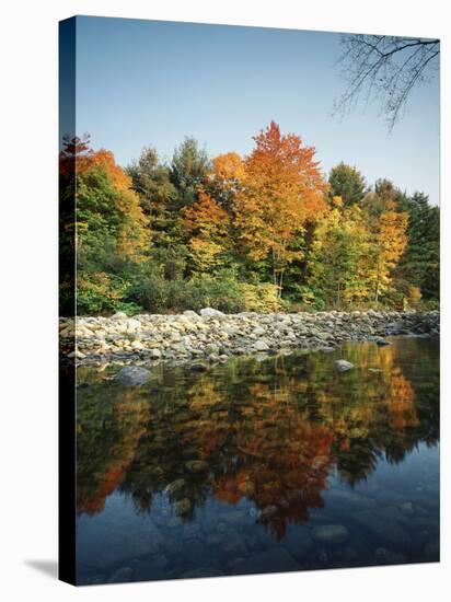 Vermont, Autumn Colors of Sugar Maple Trees Along a Stream-Christopher Talbot Frank-Stretched Canvas