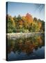 Vermont, Autumn Colors of Sugar Maple Trees Along a Stream-Christopher Talbot Frank-Stretched Canvas