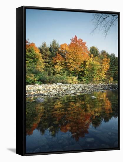 Vermont, Autumn Colors of Sugar Maple Trees Along a Stream-Christopher Talbot Frank-Framed Stretched Canvas