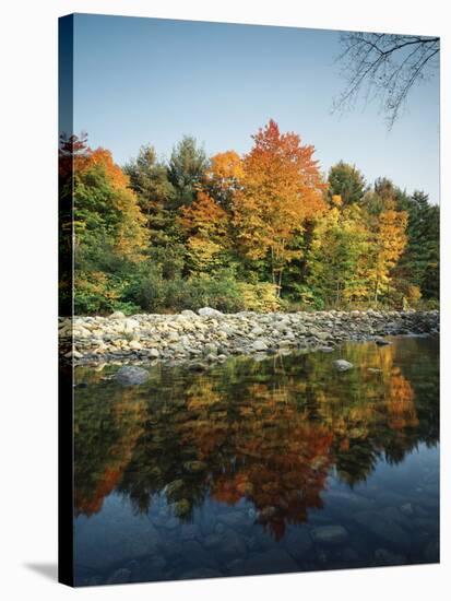 Vermont, Autumn Colors of Sugar Maple Trees Along a Stream-Christopher Talbot Frank-Stretched Canvas