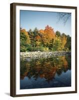 Vermont, Autumn Colors of Sugar Maple Trees Along a Stream-Christopher Talbot Frank-Framed Premium Photographic Print