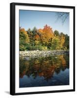 Vermont, Autumn Colors of Sugar Maple Trees Along a Stream-Christopher Talbot Frank-Framed Premium Photographic Print